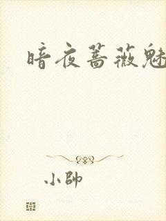 暗夜蔷薇魅封面