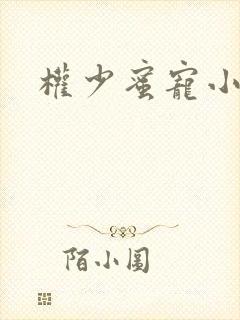 权少蜜宠小娇妻