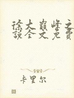徐大巅峰之路小说全文免费阅读