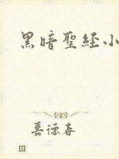 黑暗圣经小说