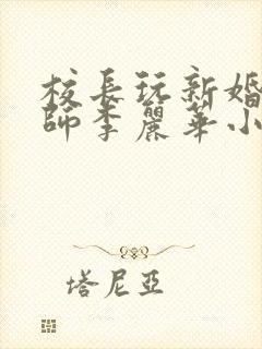 校长玩新婚女教师李丽华小说封面