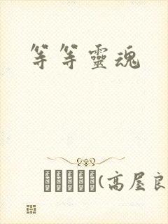 等等灵魂封面
