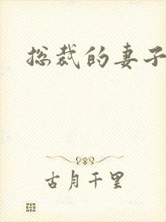 总裁的妻子