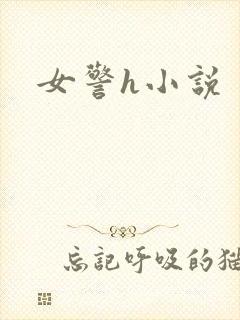 女警h小说