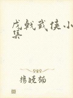戊戟武侠小说全集封面