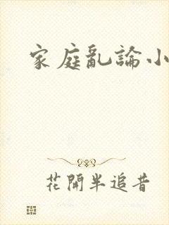 家庭乱论小说