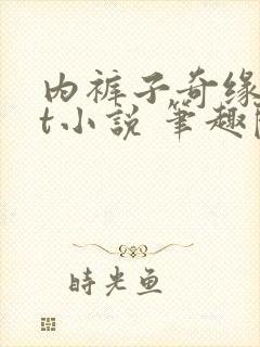 内裤子奇缘txt小说 笔趣阁
