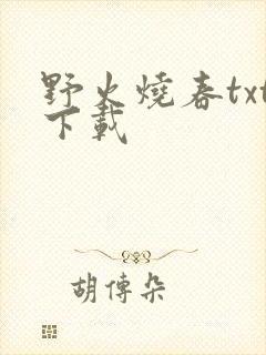 野火烧春txt下载