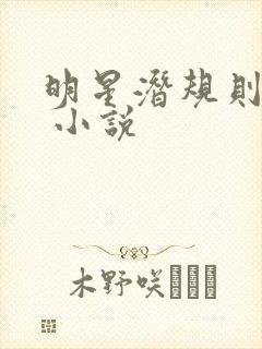 明星潜规则之皇 小说