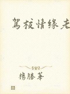 驾校情缘老赵封面