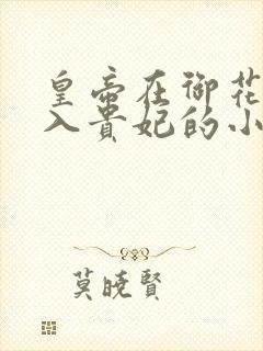 皇帝在御花园进入贵妃的小说封面