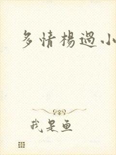 多情杨过小说封面