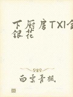 下厨房TXl金银花