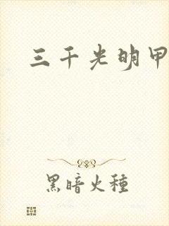 三千光明甲