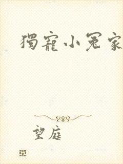 独宠小冤家封面