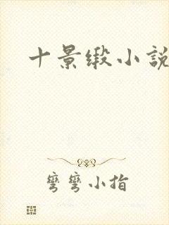 十景缎小说