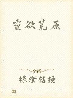 灵欲荒原封面