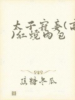 太子宠妾(高肉)红烧肉包