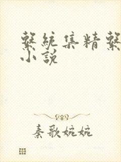 系统集精系统 小说