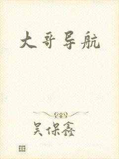 大哥导航