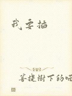 我要插