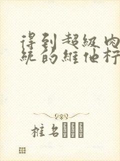 得到超级肉禽系统的维他柠檬茶
