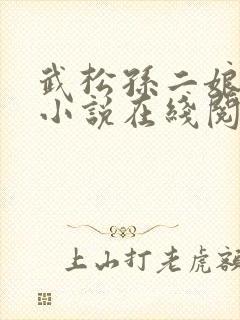 武松孙二娘云雨小说在线阅读
