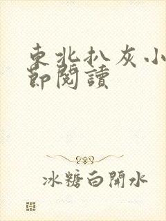 东北扒灰小说分节阅读封面