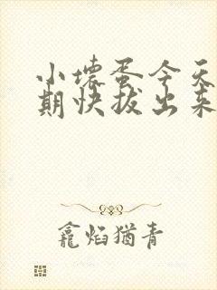 小坏蛋今天危险期快拔出来封面