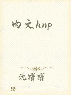肉文hnp