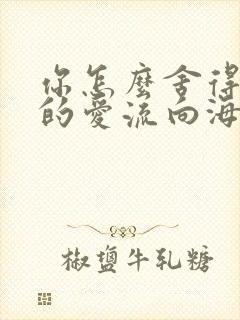 你怎么舍得让我的爱流向海封面