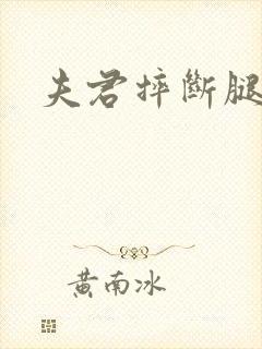 夫君摔断腿后封面