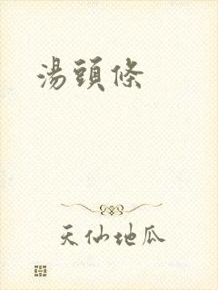 汤头条