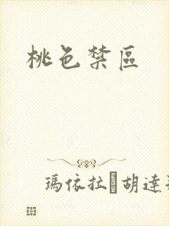 桃色禁区封面