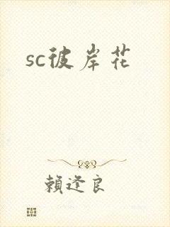 sc彼岸花封面