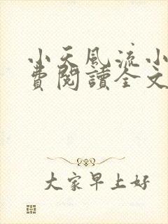 小天风流小说免费阅读全文最新章节封面