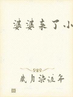婆婆来了小说
