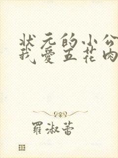 状元的小公主(我爱五花肉)封面