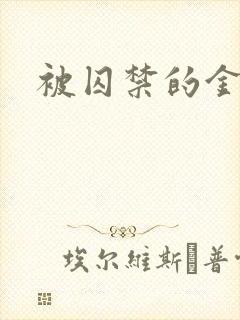 被囚禁的金丝雀