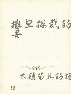 撒旦总裁的下堂妻