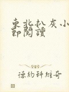 东北扒灰小说分节阅读