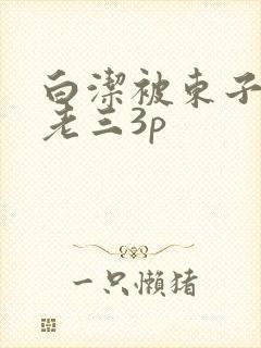 白洁被东子老二老三3p