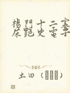 杨门十二寡妇肉床艳史电子书封面