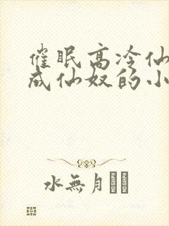 催眠高冷仙奴变成仙奴的小说