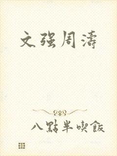 文强周涛封面