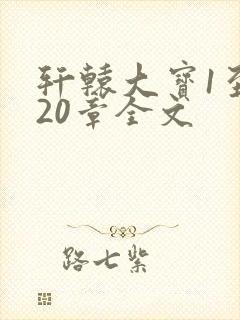 轩辕大宝1至720章全文