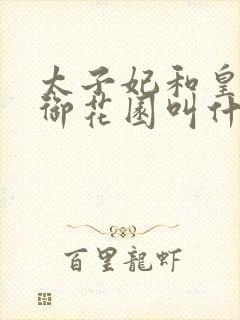 太子妃和皇帝在御花园叫什么小说