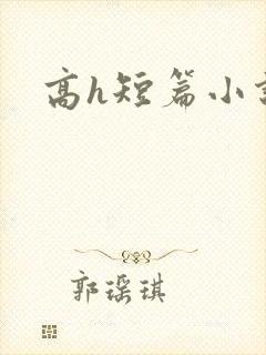高h短篇小说封面