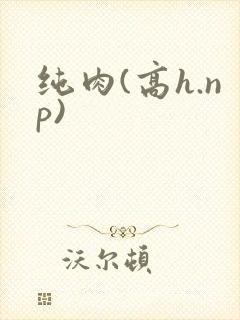 纯肉(高h.np)