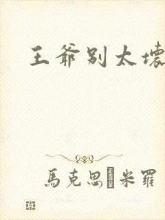 王爷别太坏